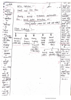 Economy 1st part (1).pdf